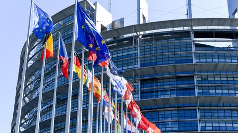 Die Flaggen der EU sowie der EU-Mitgliedstaaten wehen vor dem Europäischen Parlament